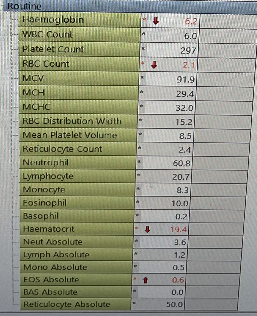 A blood test result showing haemoglobin of 6.2 and haematocrit of 19.4, both marked low.